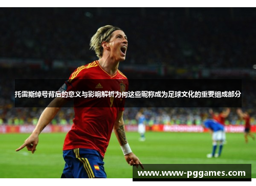 托雷斯绰号背后的意义与影响解析为何这些昵称成为足球文化的重要组成部分 托雷斯绰号背后的意义与影响解析为何这些昵称成为足球文化的重要组成部分