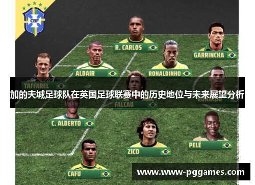 加的夫城足球队在英国足球联赛中的历史地位与未来展望分析